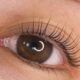 Die besten Wimpernlifting- und Laminierungssets für zu Hause